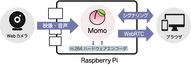 Momo の P2P モードを利用した動作確認の構成図。Momo はシグナリング機能を内蔵しているため、手軽に接続確認ができる。